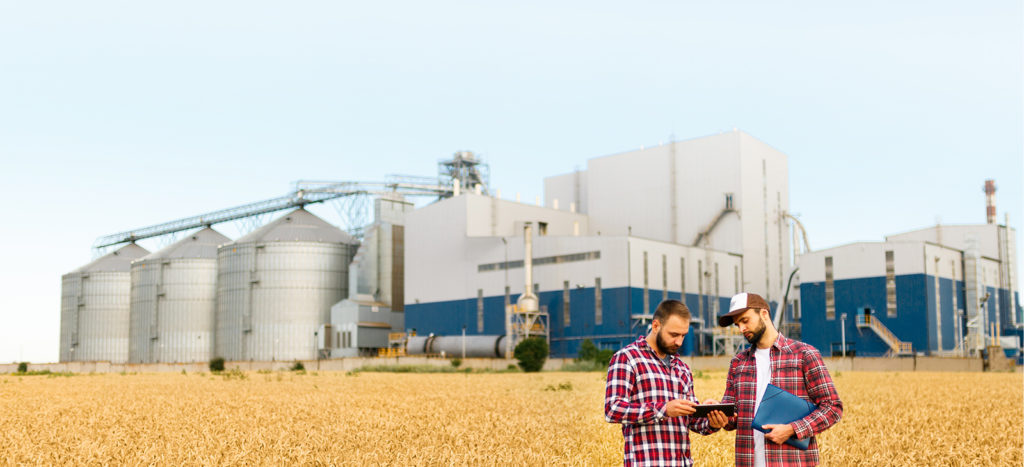 Wheat Consult